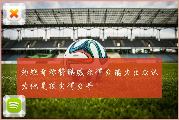 约维奇称赞鲍威尔得分能力出众认为他是顶尖得分手