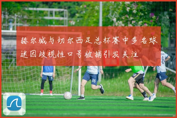 赫尔城与切尔西足总杯赛中多名球迷因歧视性口号被捕引发关注