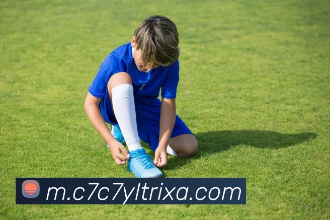 c7c7娱乐平台生态图